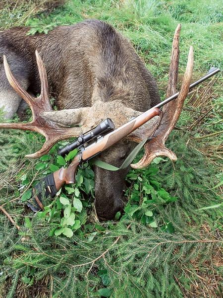 Последний настоящий маузер