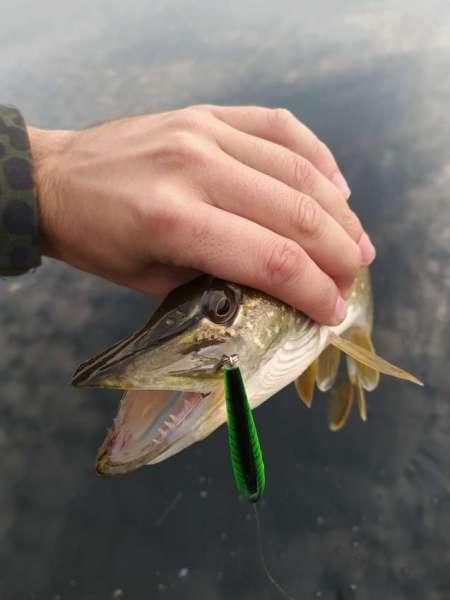 Проснулся с чувством путешественника Проснулся с чувством путешественника