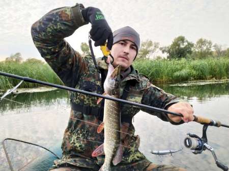 Проснулся с чувством путешественника Проснулся с чувством путешественника