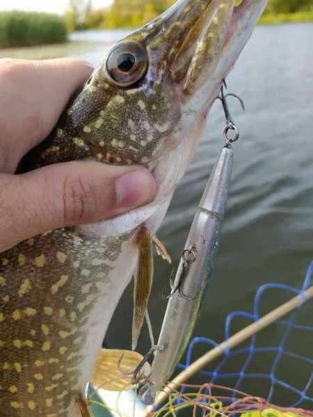 Проснулся с чувством путешественника Проснулся с чувством путешественника