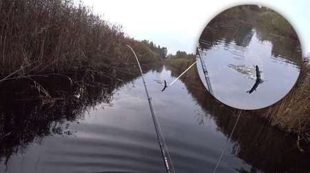 Воблеры. Осенний жор щуки. Воблеры. Осенний жор щуки.