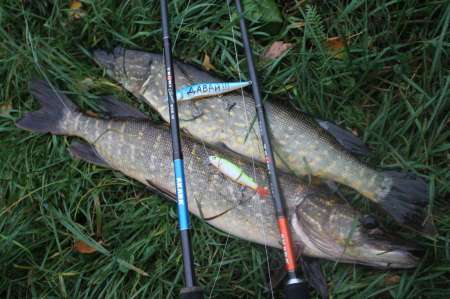 Воблеры. Осенний жор щуки. Воблеры. Осенний жор щуки.