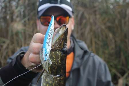 Воблеры. Осенний жор щуки. Воблеры. Осенний жор щуки.