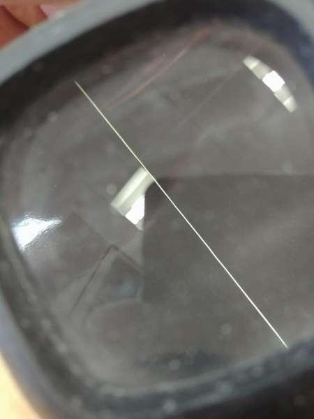 Восьмижилка на тайменя