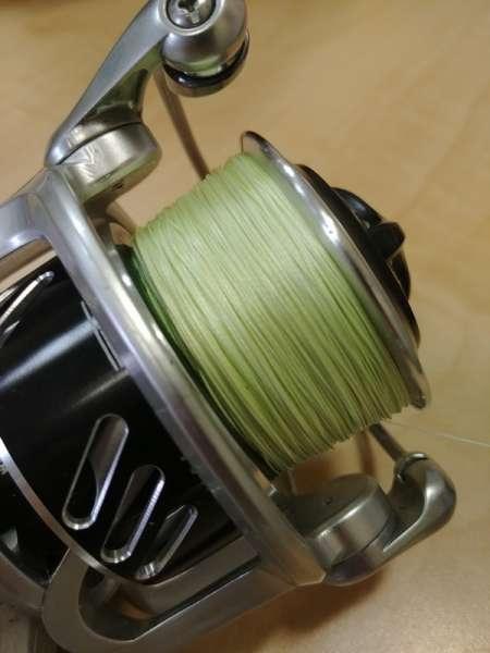 Восьмижилка на тайменя