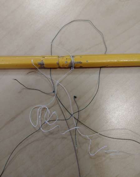 Восьмижилка на тайменя