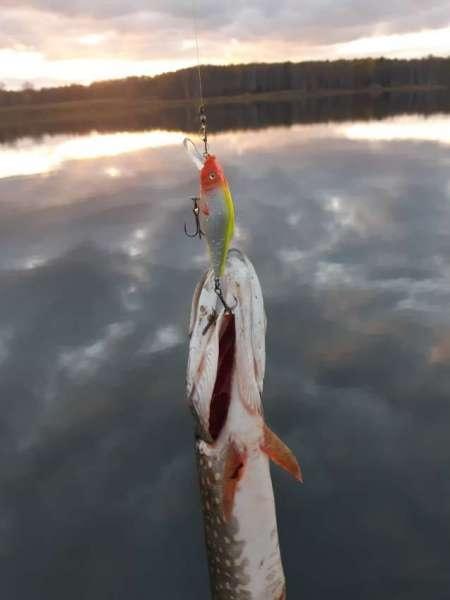 Выезд на рыбалку 1 октября