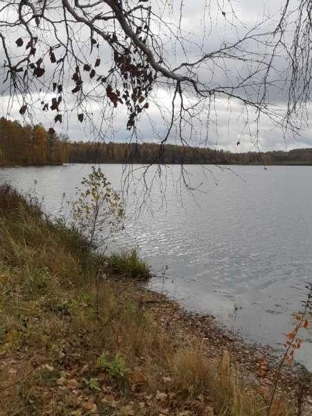 Выезд на рыбалку 1 октября