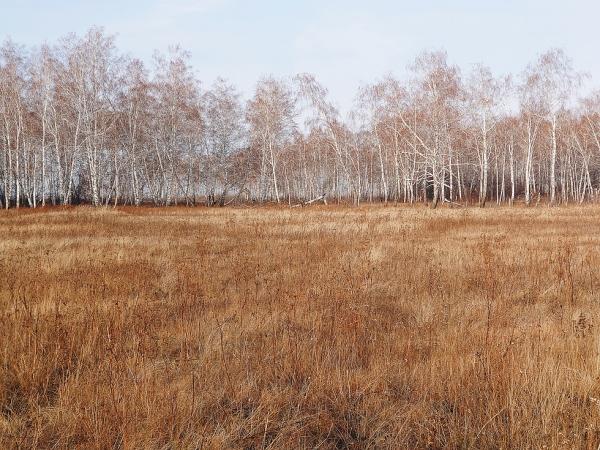 Открытие по косуле 2020