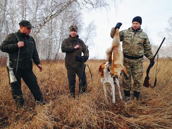 Открытие по косуле 2020