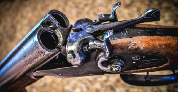 Как выбрать охотничье ружье