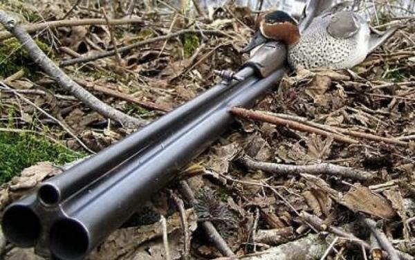 Как выбрать охотничье ружье