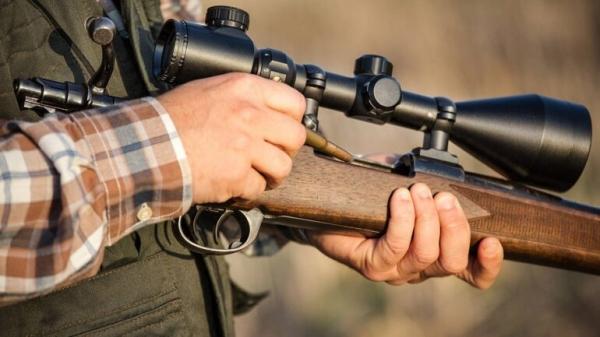 Как выбрать охотничье ружье