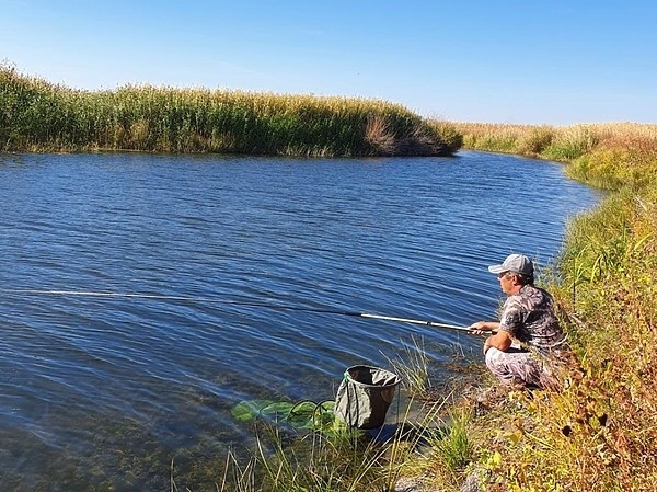 Плотва – это серьёзно Плотва – это серьёзно