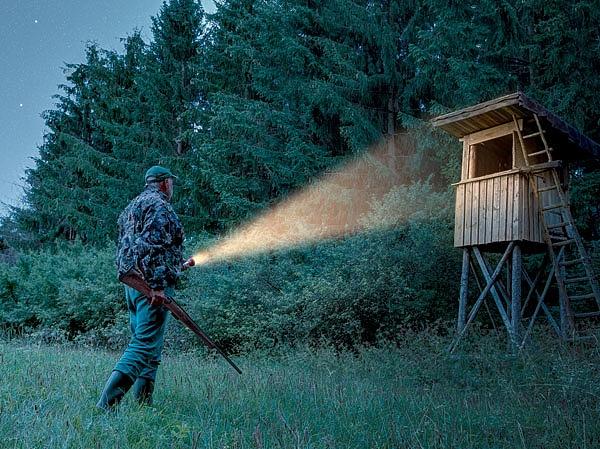 Сравниваем гладкоствольный Ланкастер с нарезным патроном Сравниваем гладкоствольный Ланкастер с нарезным патроном