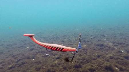 Все ошибки при ловле трофейной щуки Все ошибки при ловле трофейной щуки