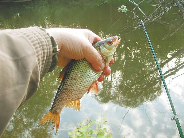 Знакомые снасти в незнакомом исполнении Знакомые снасти в незнакомом исполнении