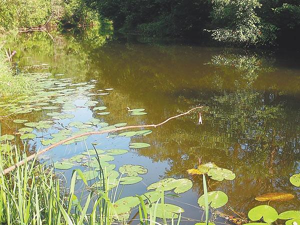 Знакомые снасти в незнакомом исполнении Знакомые снасти в незнакомом исполнении