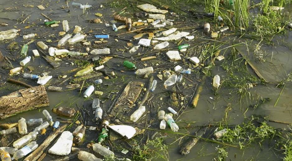 Последствия без воды. Механическое загрязнение воды. Загрязнение водоемов. Загрязнение пресных вод. Загрязненные водоемы.